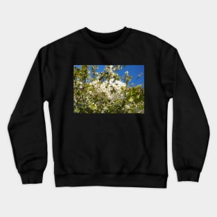 White blossom, blue sky Crewneck Sweatshirt